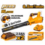 CABLI204282-9--2-