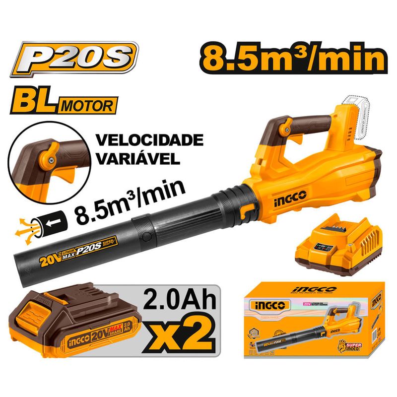 CABLI204282-9--2-