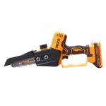 CGSLI206869-4