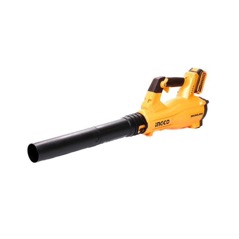 CABLI20428-0